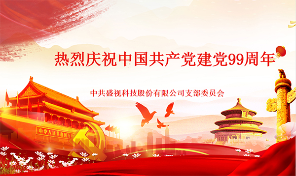 盛视党建动态|乐玩(中国)lewan·官方网页版,党组织开展庆祝建党99周年主题党日活动